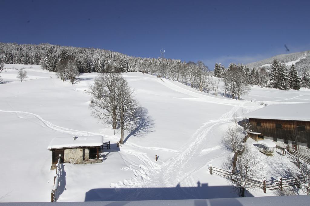 Eberharthof Lägenhet Saalbach-Hinterglemm Exteriör bild